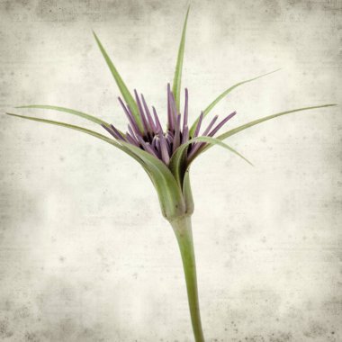 desenli eski kağıt arkaplan  