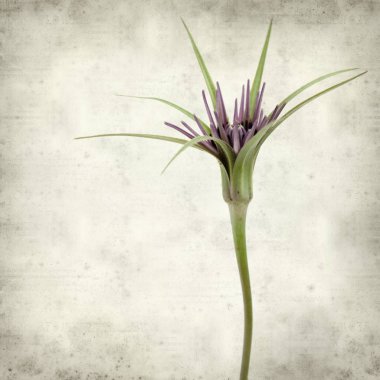 desenli eski kağıt arkaplan  