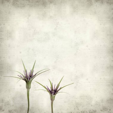 desenli eski kağıt arkaplan  