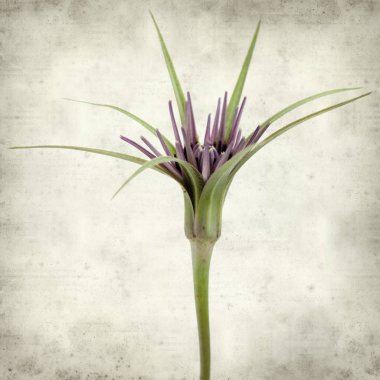 desenli eski kağıt arkaplan  