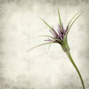 desenli eski kağıt arkaplan  