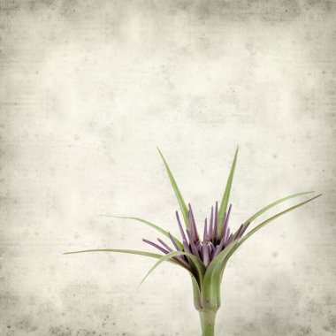 desenli eski kağıt arkaplan  