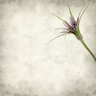 desenli eski kağıt arkaplan  