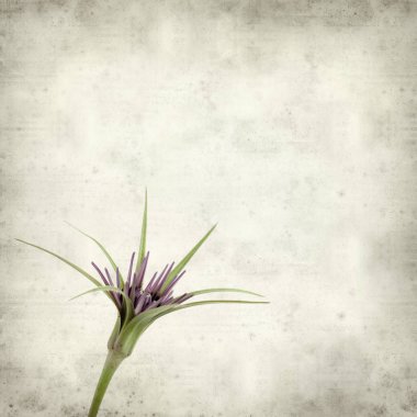 desenli eski kağıt arkaplan  