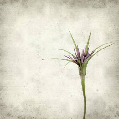 desenli eski kağıt arkaplan  