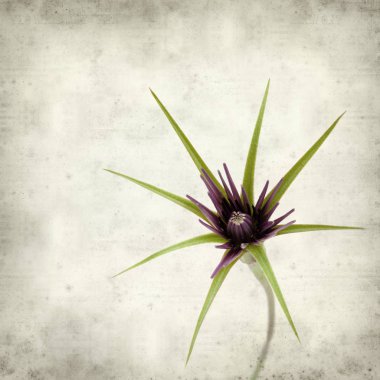 desenli eski kağıt arkaplan  