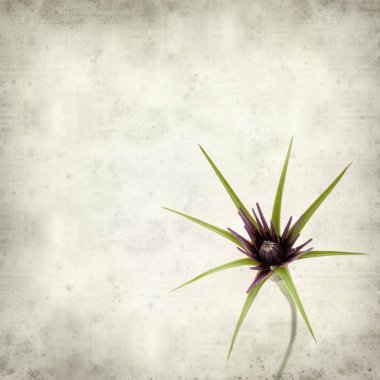 desenli eski kağıt arkaplan  