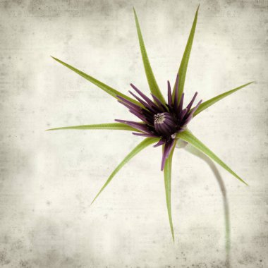 desenli eski kağıt arkaplan  