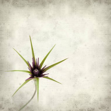 desenli eski kağıt arkaplan  