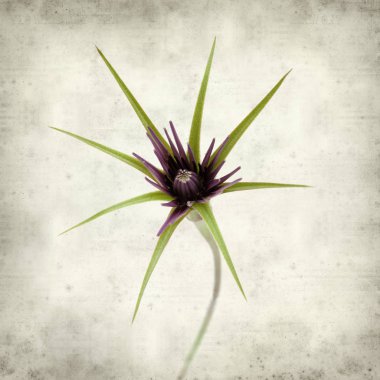 desenli eski kağıt arkaplan  