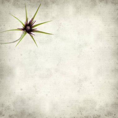 desenli eski kağıt arkaplan  