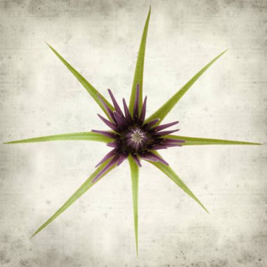 desenli eski kağıt arkaplan  