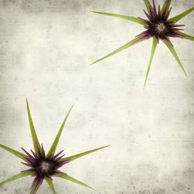 desenli eski kağıt arkaplan  