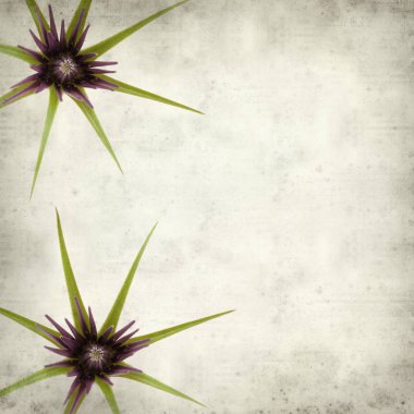 desenli eski kağıt arkaplan  