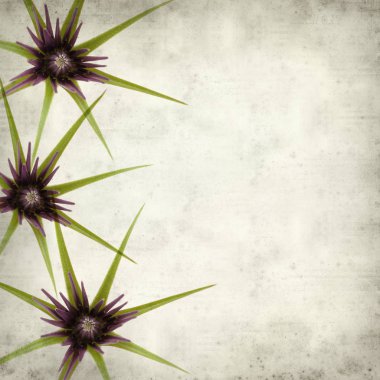 desenli eski kağıt arkaplan  