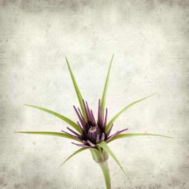 desenli eski kağıt arkaplan  