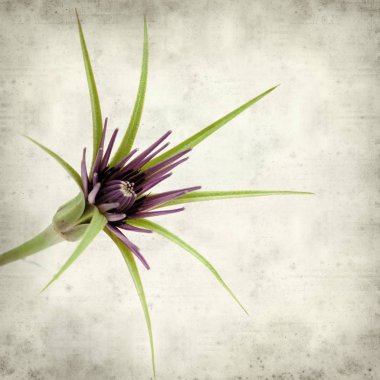 desenli eski kağıt arkaplan  