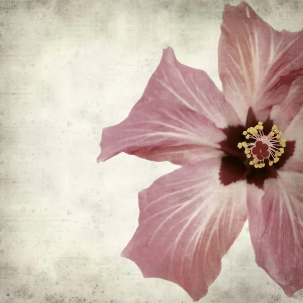 desenli eski kağıt arkaplan  