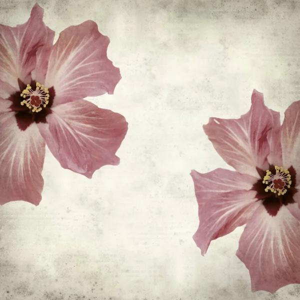 desenli eski kağıt arkaplan  