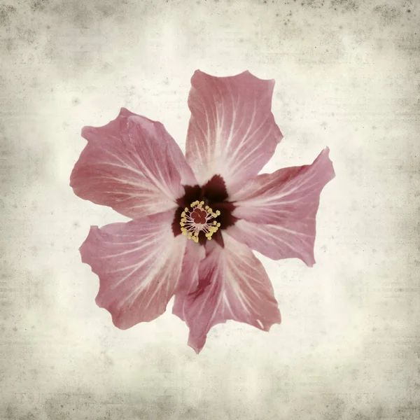 desenli eski kağıt arkaplan  