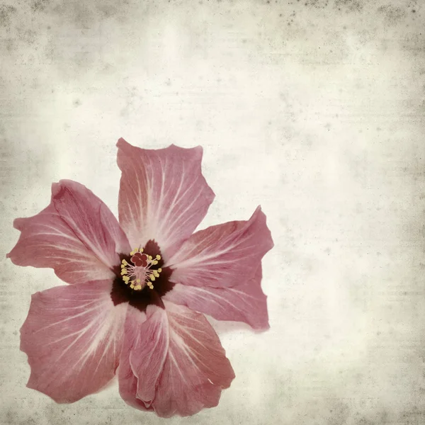 desenli eski kağıt arkaplan  