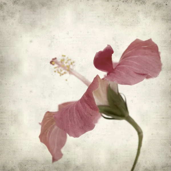 desenli eski kağıt arkaplan  