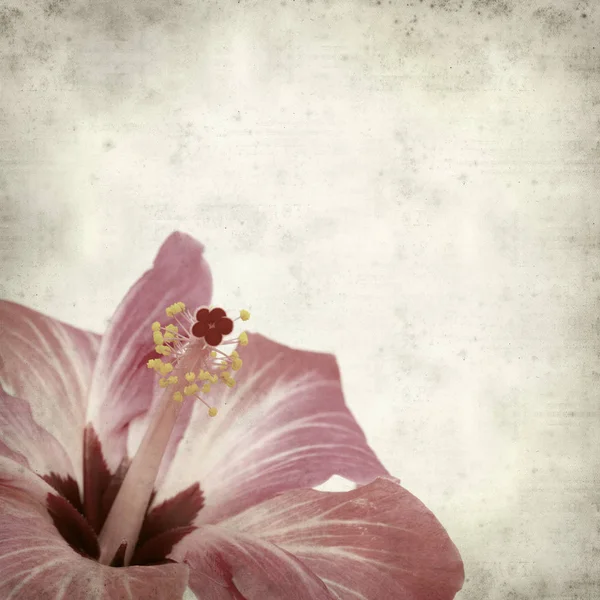 desenli eski kağıt arkaplan  