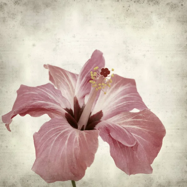 desenli eski kağıt arkaplan  