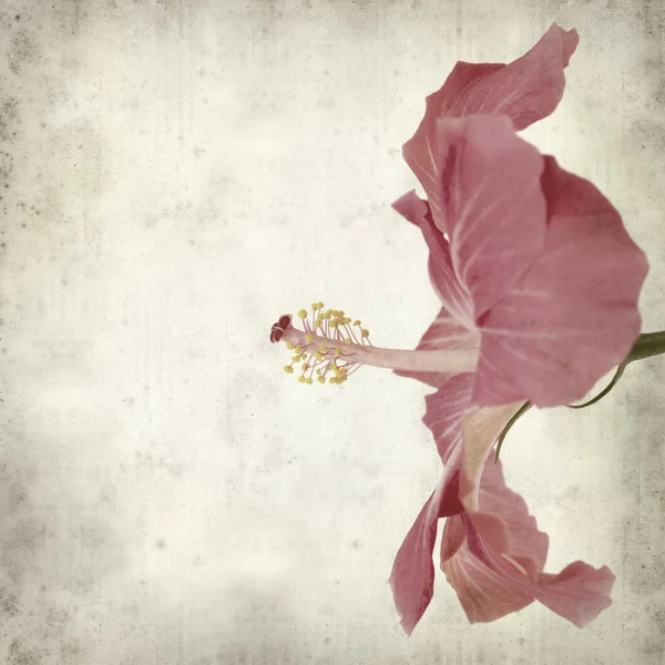 desenli eski kağıt arkaplan  