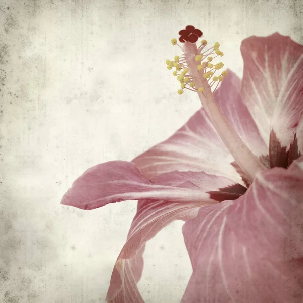 desenli eski kağıt arkaplan  