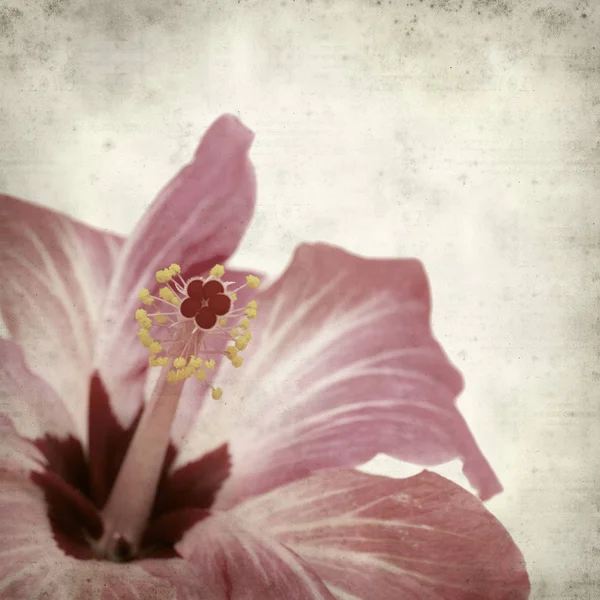 desenli eski kağıt arkaplan  