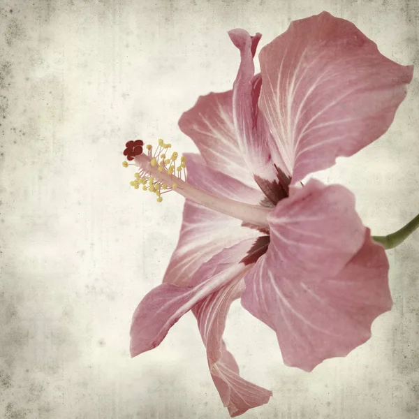 desenli eski kağıt arkaplan  