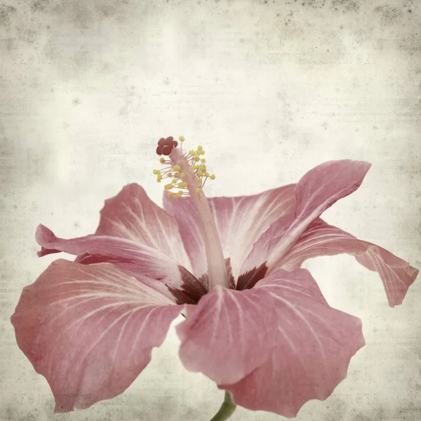 desenli eski kağıt arkaplan  