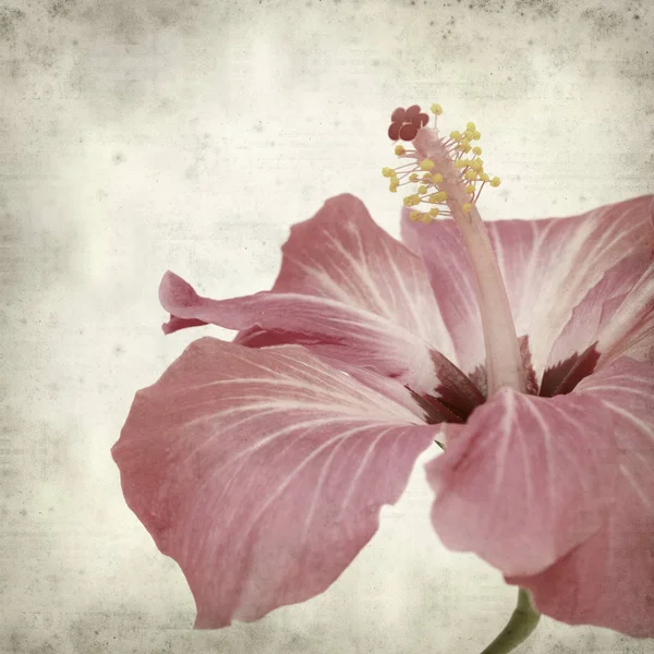 desenli eski kağıt arkaplan  