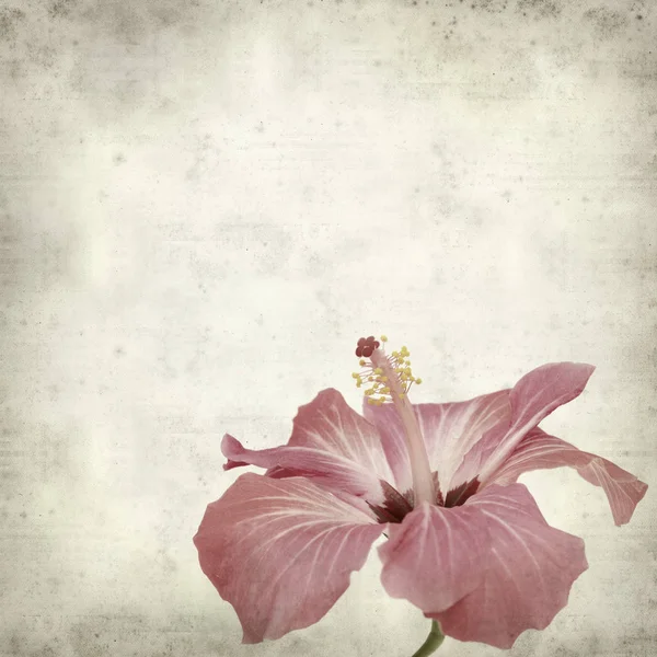 desenli eski kağıt arkaplan  