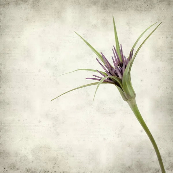 desenli eski kağıt arkaplan  