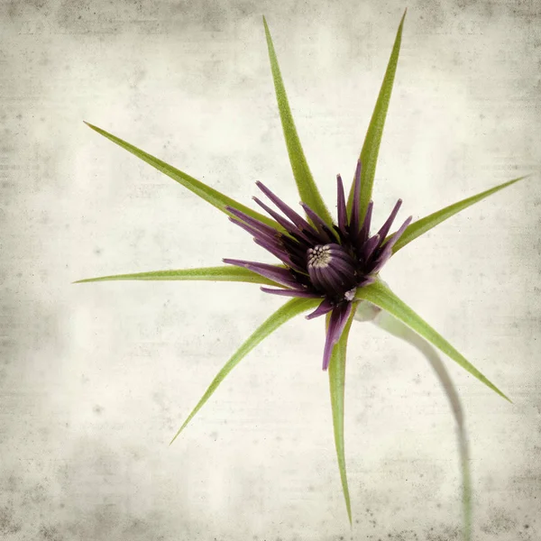 desenli eski kağıt arkaplan  