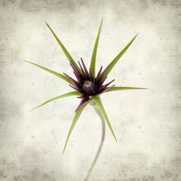 desenli eski kağıt arkaplan  