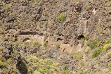 Gran Kanaryası, Barranco Las Vacas