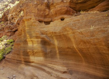 Gran Kanaryası, Barranco Las Vacas