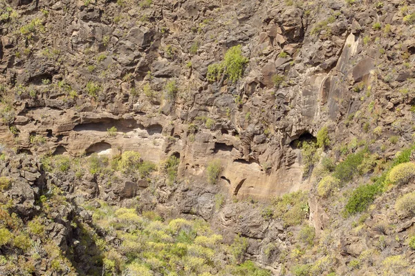 Gran Kanaryası, Barranco Las Vacas — Stok fotoğraf