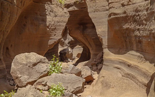 Gran Canaria, Barranco Las Vacas — Foto de Stock