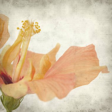 desenli eski kağıt arkaplan  