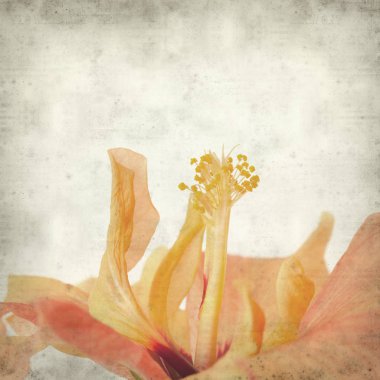 desenli eski kağıt arkaplan  