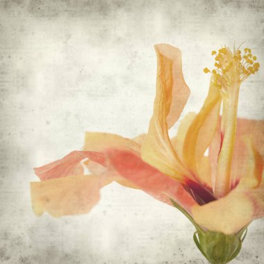 desenli eski kağıt arkaplan  