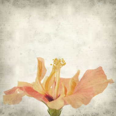 desenli eski kağıt arkaplan  