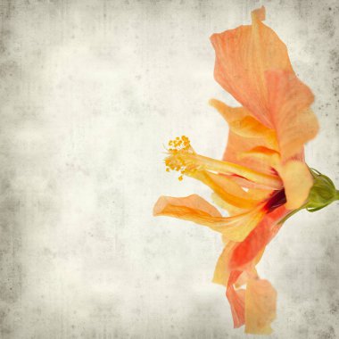 desenli eski kağıt arkaplan  