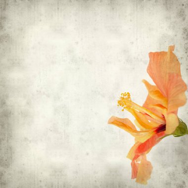 desenli eski kağıt arkaplan  