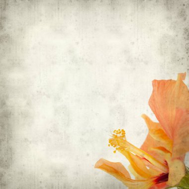 desenli eski kağıt arkaplan  