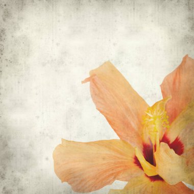 desenli eski kağıt arkaplan  